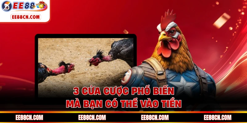 3 cửa cược phổ biến mà bạn có thể vào tiền