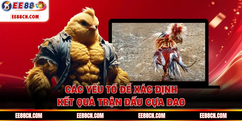 Các yếu tố để xác định kết quả trận đấu cựa dao
