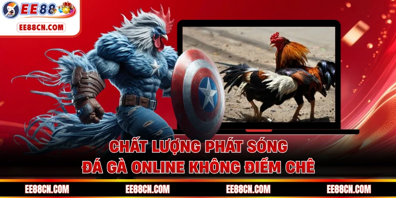 Chất lượng phát sóng đá gà online không điểm chê