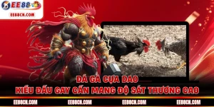 Đá Gà Cựa Dao - Kiểu Đấu Gay Cấn Mang Độ Sát Thương Cao