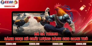 Đá Gà Thomo - Sảnh Chọi Kê Chất Lượng Dành Cho Game Thủ