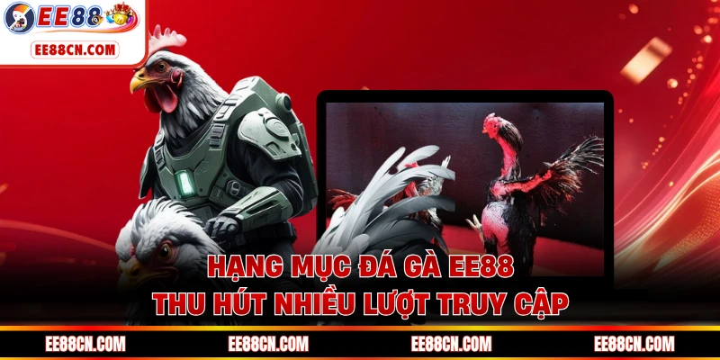 Hạng mục đá gà EE88 thu hút nhiều lượt truy cập