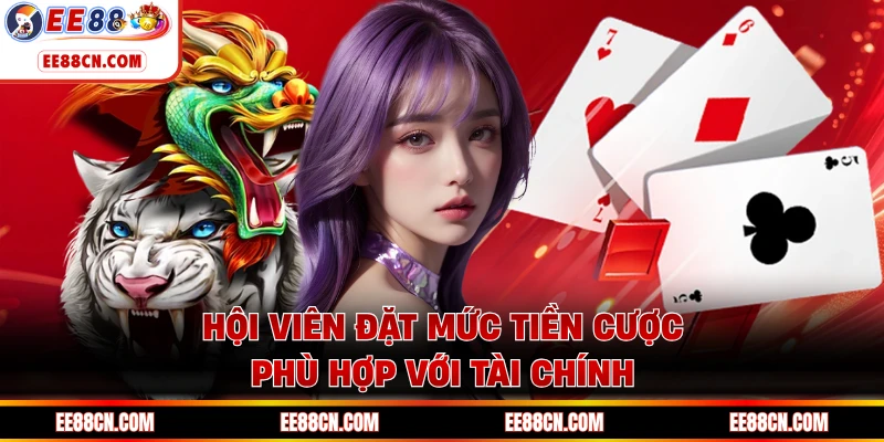 Hội viên đặt mức tiền cược phù hợp với tài chính