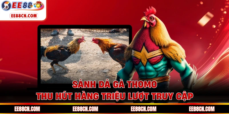 Sảnh dá gà Thomo thu hút hàng triệu lượt truy cập
